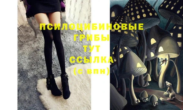 2c-b Арсеньев