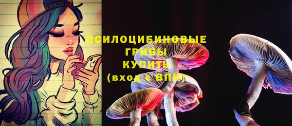 2c-b Арсеньев